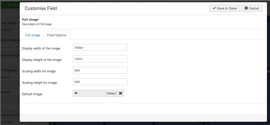 customisation options for full image field